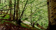 Saja-Besaya 1
